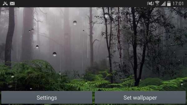Rain Live Wallpaper screenshot 1