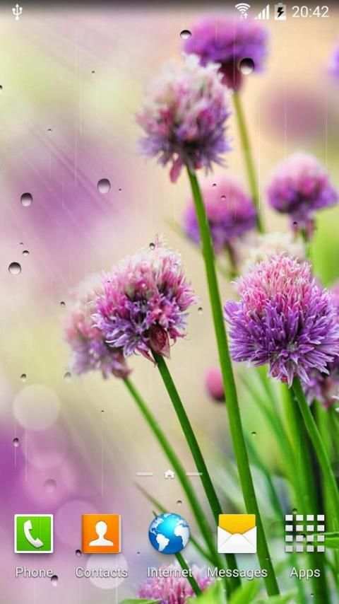 Rain Live Wallpaper screenshot 7