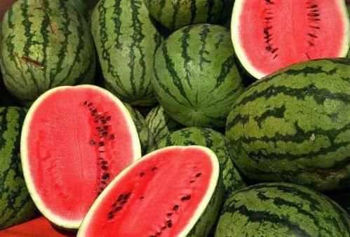 الأعشاب دواء لكل داء 1 تصوير الشاشة
