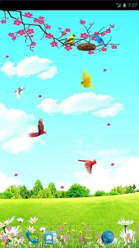 Sky Birds Live Wallpaper Free screenshot 9