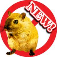 Anti Rat Repeller Prank