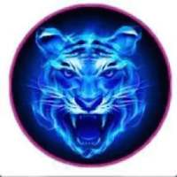 Royal VPN secure tunneling