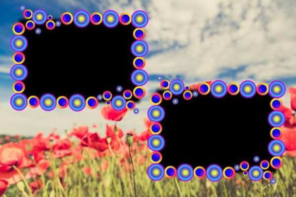 Flower Photo Frames скриншот 8