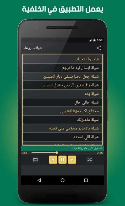 شيلات روعة بدون نت screenshot 6