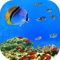 Underwater world live wp