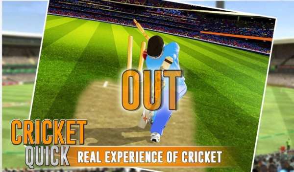 Quick Cricket скриншот 1