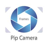 Free pip camera frames