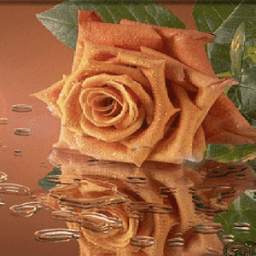 Chocolatey Rose Live Wallpaper