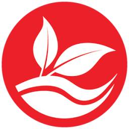 Site Pyo 1.6.0