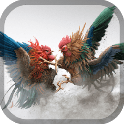 Rooster fight - Cookfighing أيقونة