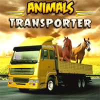 Animal Transporter