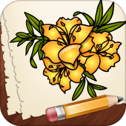 How to Draw a Flower icon