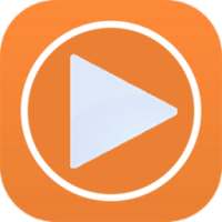 Play View Pro Convert