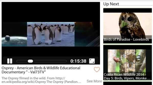 Animal Videos स्क्रीनशॉट 2