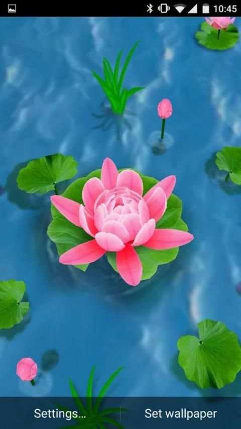 Flower Live Wallpaper 3D 9 تصوير الشاشة