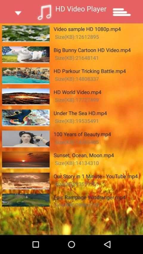 Video Player High Definition скриншот 2