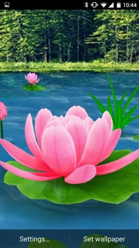 Flower Live Wallpaper 3D 10 تصوير الشاشة