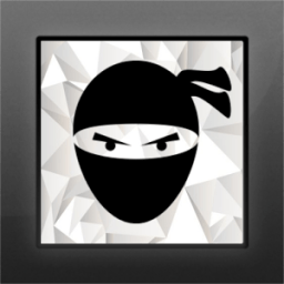 Shadow Ninja: Dark City أيقونة