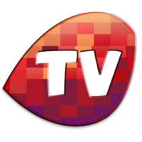 Pocket Tv : Mobile Tv,Web Tv