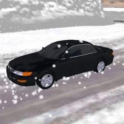 Real Car Simulator