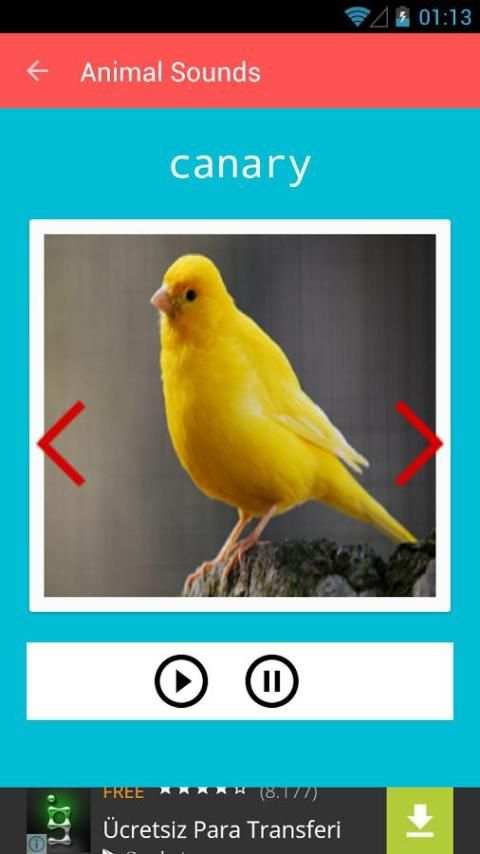 Animal Sounds screenshot 3