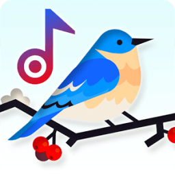 ikon Bird Sounds