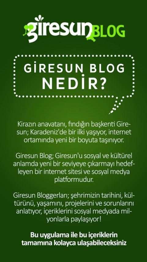 Giresun Blog screenshot 6