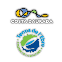 Visit CD &amp; TTE icon