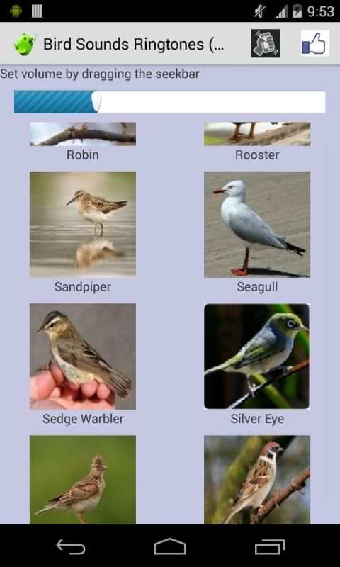 Bird Sounds Ringtones screenshot 2