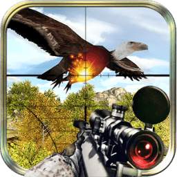 Bird Hunter3D 1.0