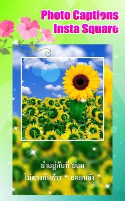 Photo Captions - Insta Square 1 تصوير الشاشة