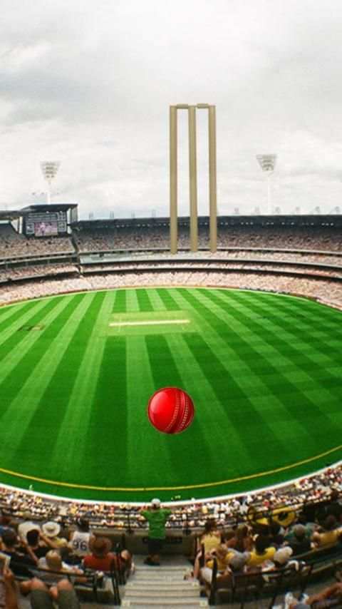 Howzzaaat! Cricket Lock Screen screenshot 6