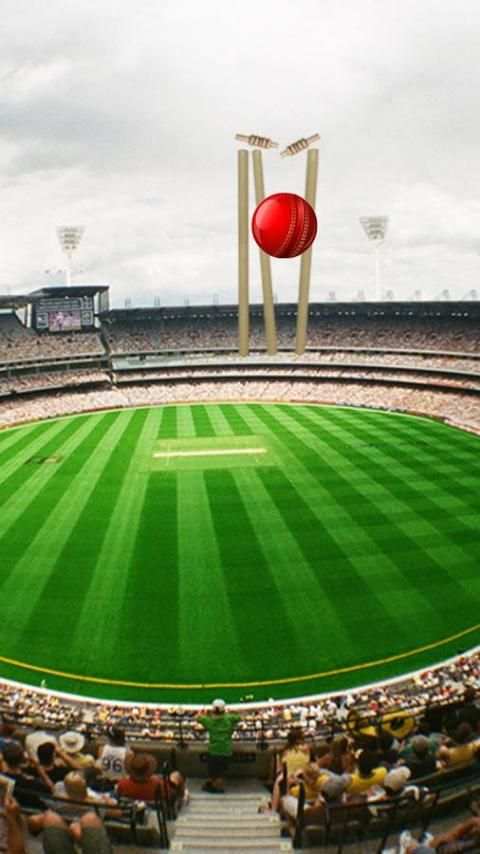 Howzzaaat! Cricket Lock Screen screenshot 3