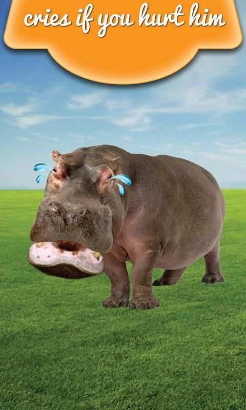 Hippo बात कर रहे स्क्रीनशॉट 1