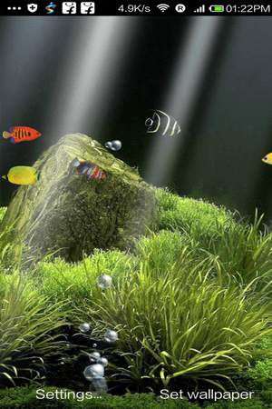 Fish Aquarium Live Wallpaper screenshot 2