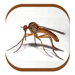 Mosquito Sound 1.0