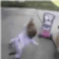 Девочка падает на лицо on 9Apps