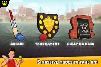Gully Cricket screenshot 3
