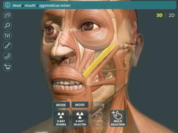 Visual Anatomy 3D | Human स्क्रीनशॉट 6