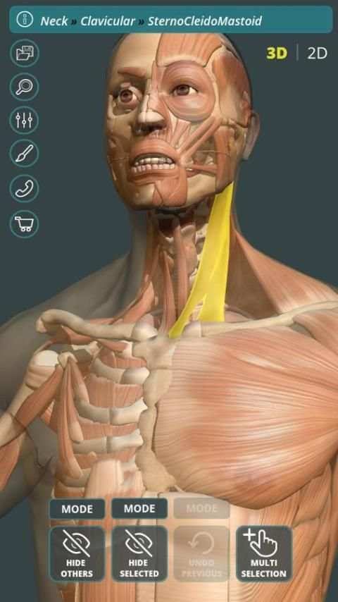Visual Anatomy 3D | Human स्क्रीनशॉट 14