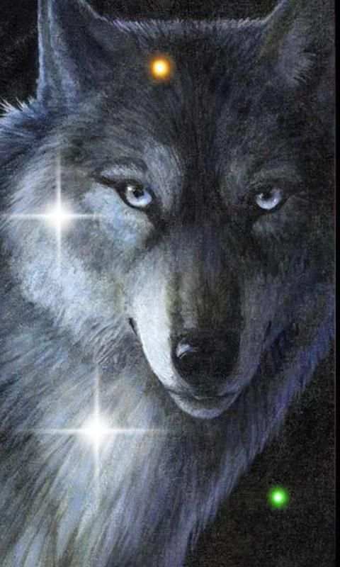 Wolves Sounds live wallpaper 3 تصوير الشاشة