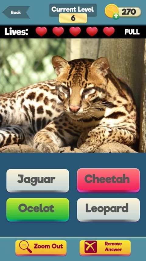 Zoom Trivia - Animals Edition screenshot 13