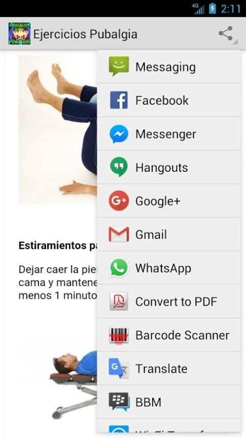 Ejercicios Caseros Pubalgia screenshot 2