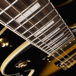 ikon Electric Guitar