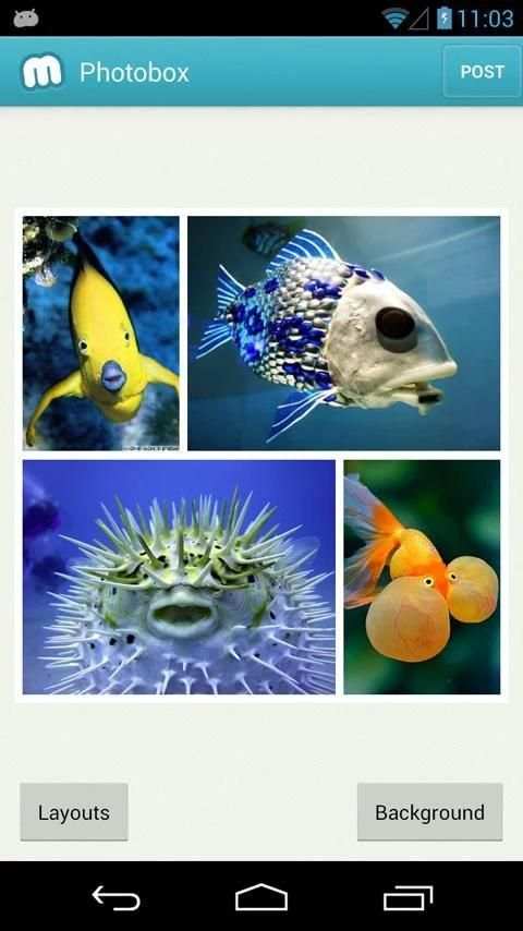 Muzy - Share photos & collages screenshot 4