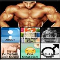 Weight Gain Muscle Meal Plans on 9Apps