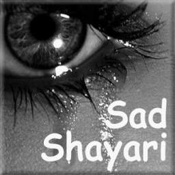 Sad Shayri Collection