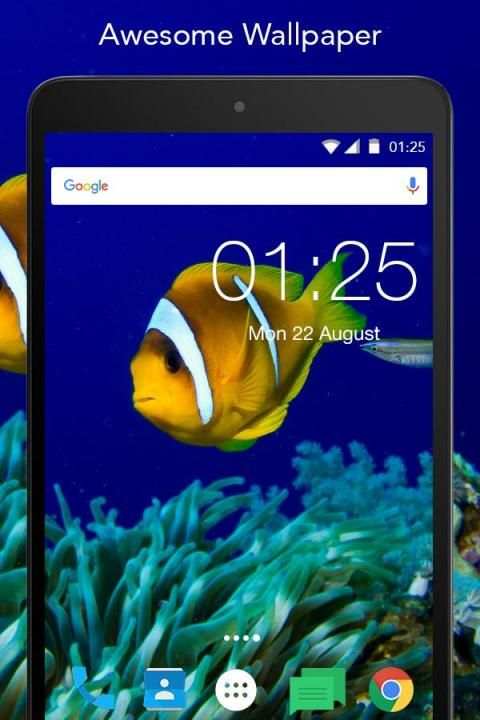 Clown Fish Live Wallpaper screenshot 4
