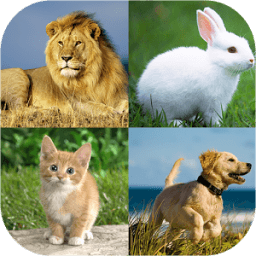 Animal dictionary puzzle game иконка