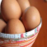 EGGS 4 YOU ! on 9Apps